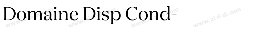 Domaine Disp Cond字体转换